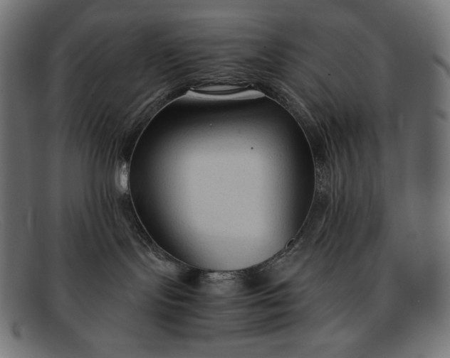 X0000091860095200709191125