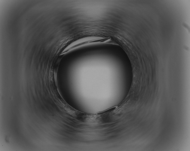 X0000091860096200709191125