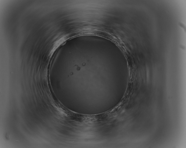 X0000091860099200709191124