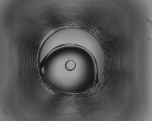 X0000091860100200709191124