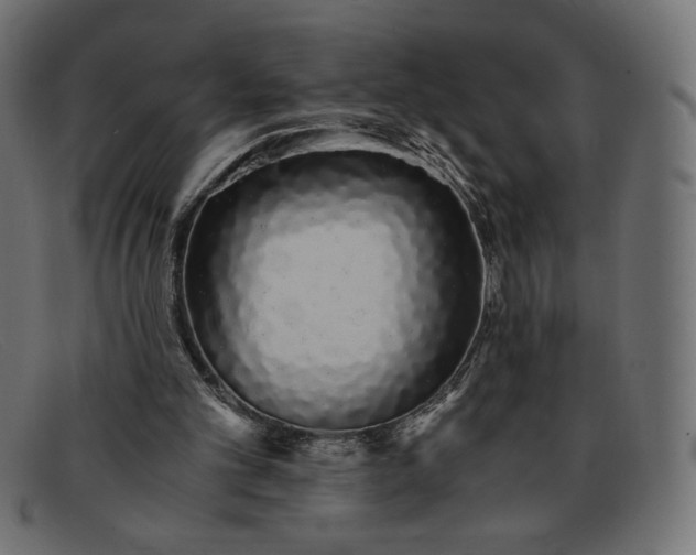 X0000091860101200709191124