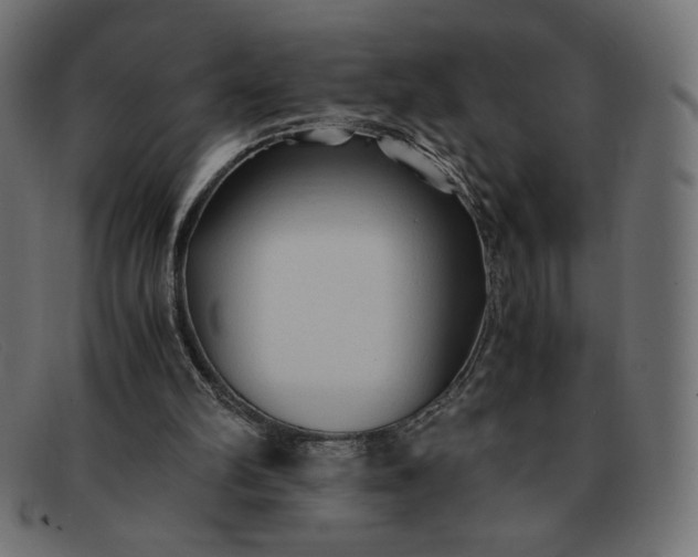 X0000091860102200709191124