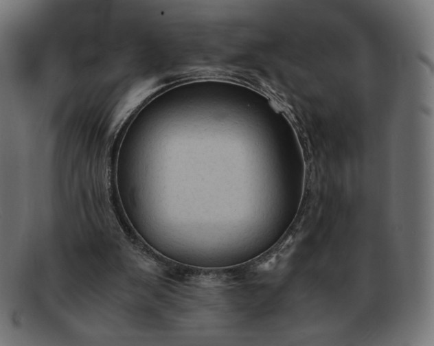 X0000091860103200709191124