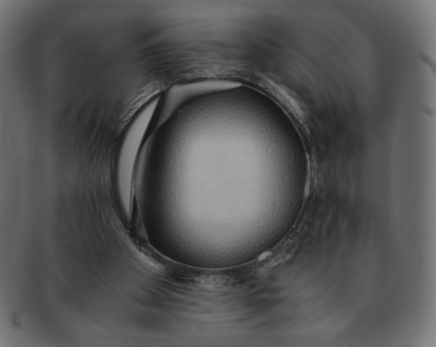 X0000091860105200709191124