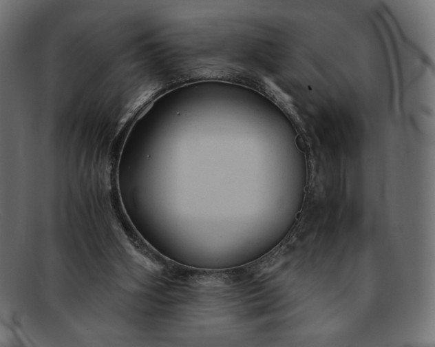 X0000091860106200709191124