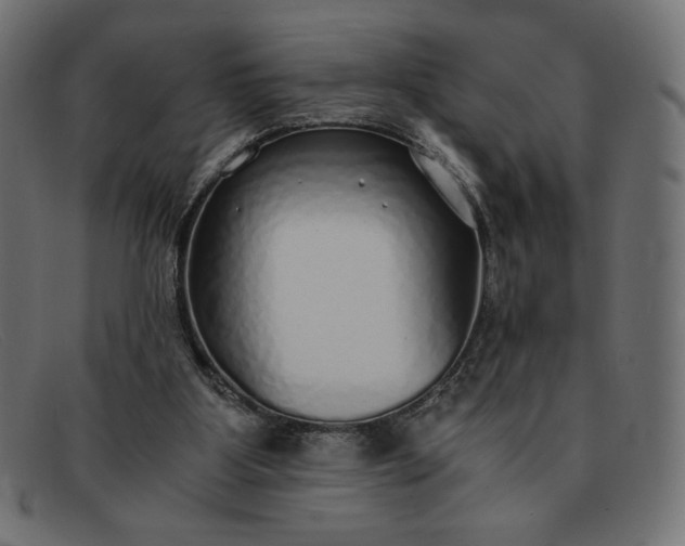 X0000091860107200709191124