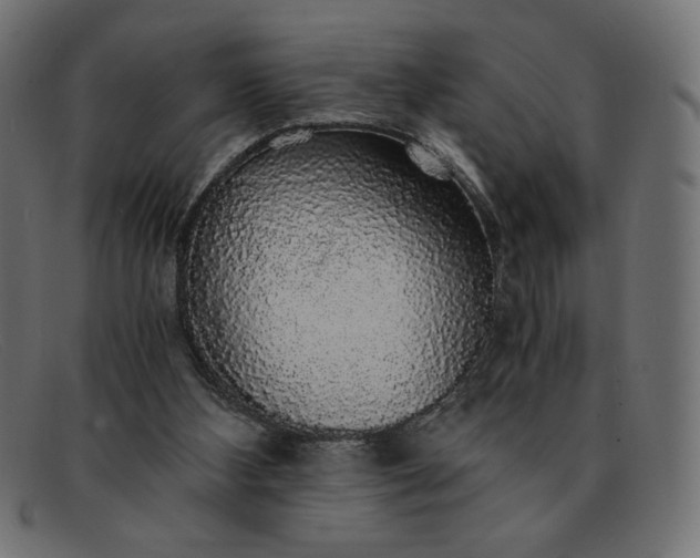 X0000091860108200709191124