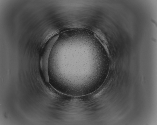 X0000091860109200709191124