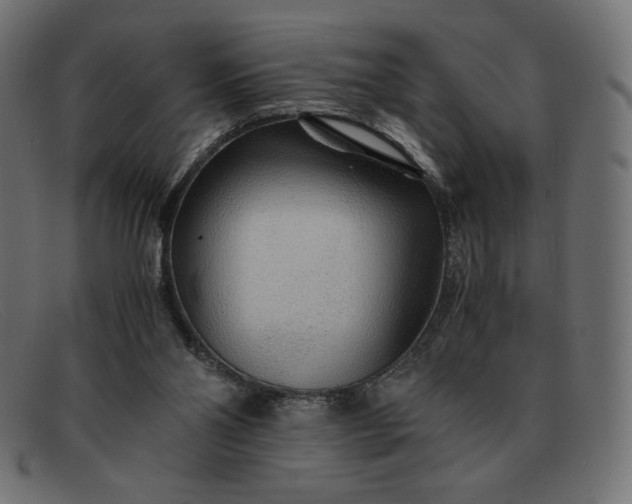 X0000091860110200709191124