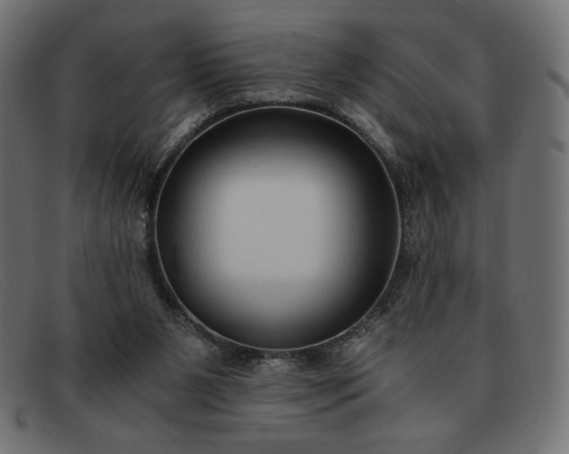 X0000091860111200709191124