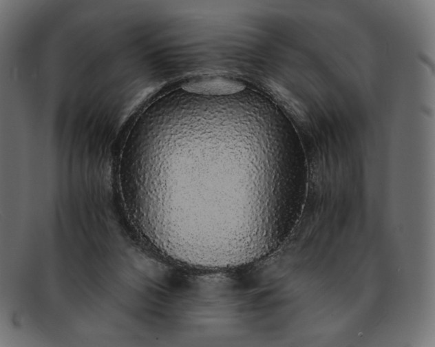 X0000091860112200709191124