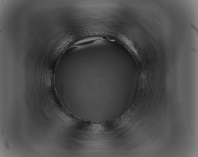 X0000091860114200709191124