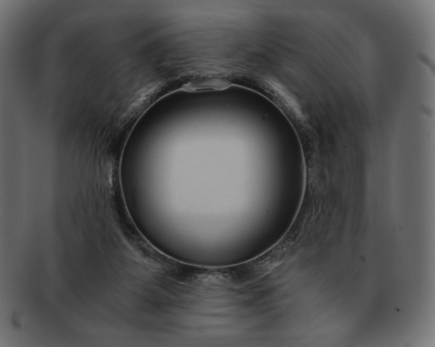 X0000091860115200709191124