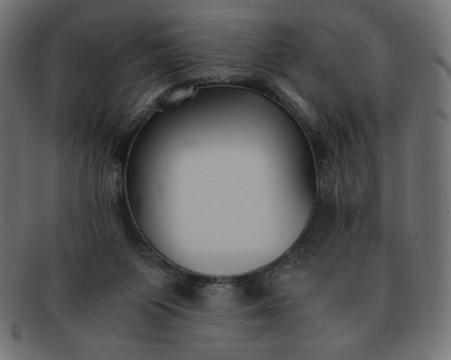 X0000091860119200709191124