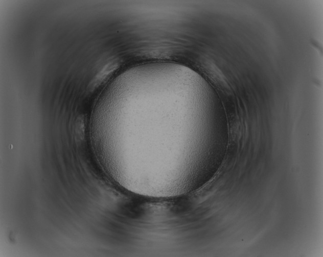 X0000091860120200709191124