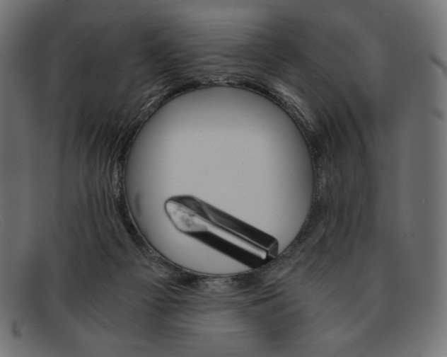 X0000091860121200709191124