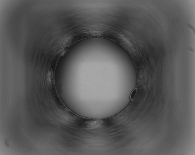 X0000091860122200709191124