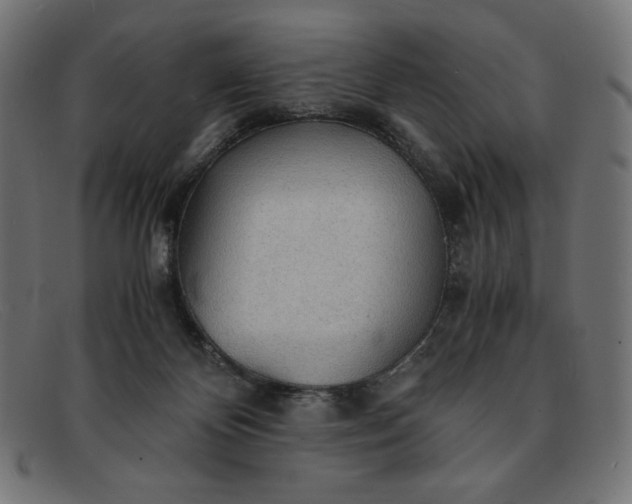 X0000091860124200709191124