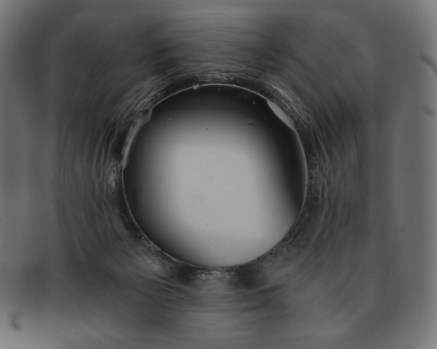 X0000091860125200709191124