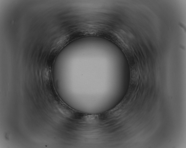 X0000091860126200709191124