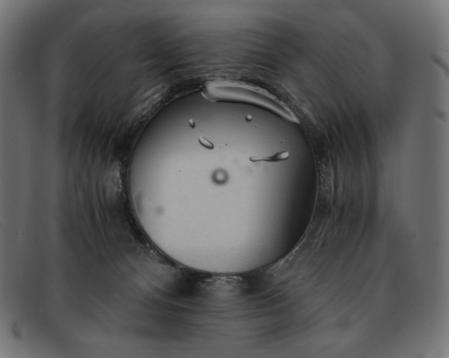 X0000091860128200709191124