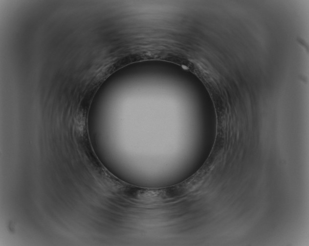 X0000091860129200709191124