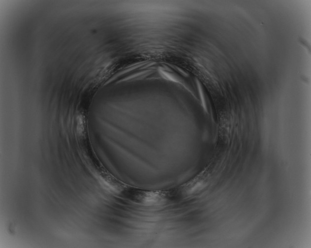 X0000091860130200709191124