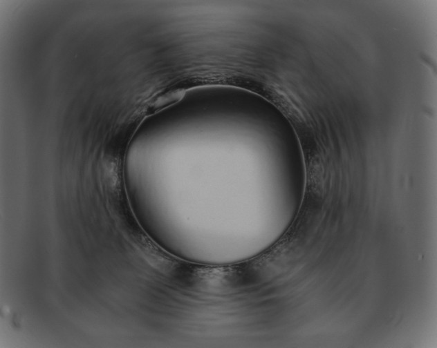 X0000091860131200709191124