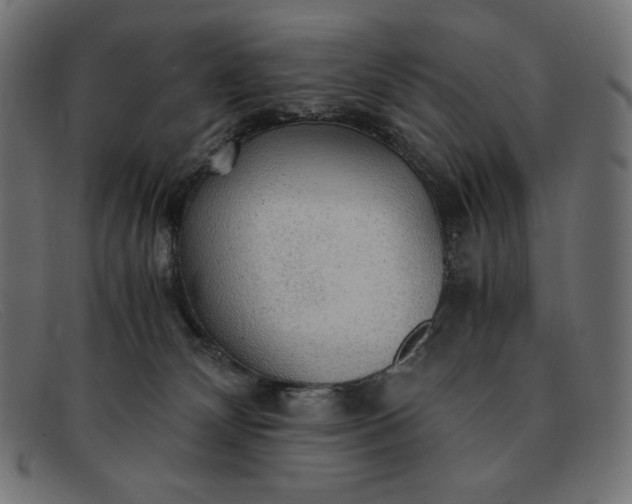 X0000091860132200709191124