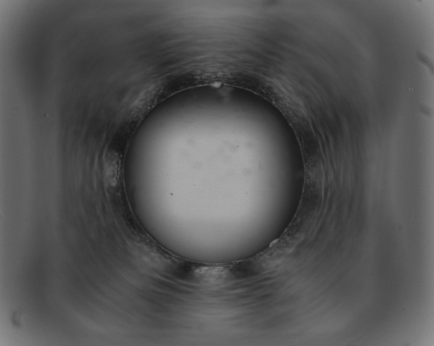 X0000091860133200709191124