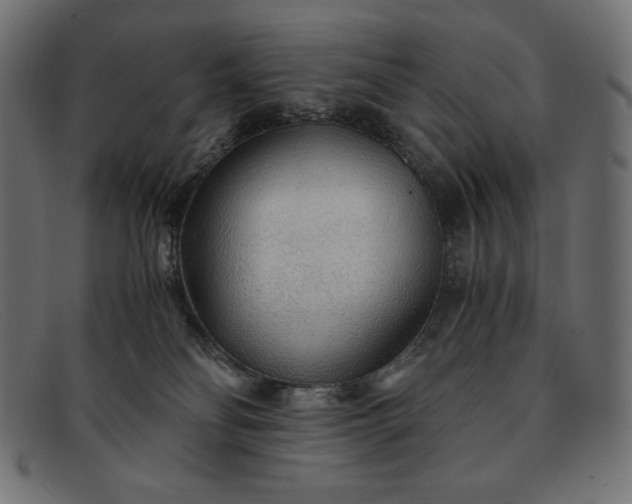 X0000091860134200709191124