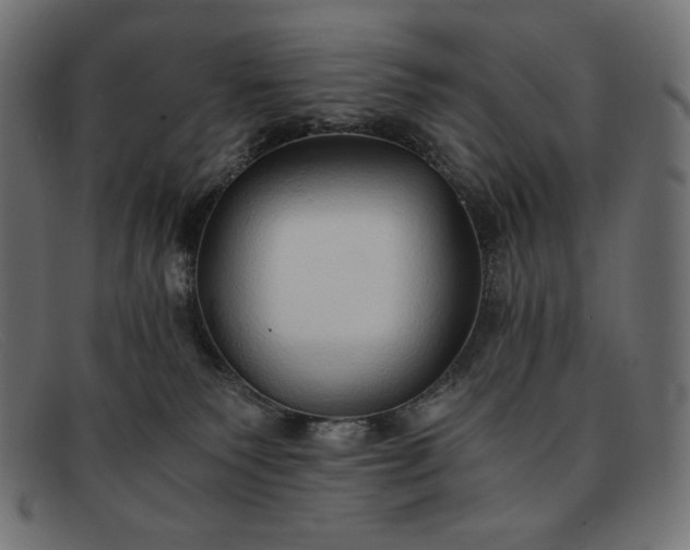 X0000091860135200709191124