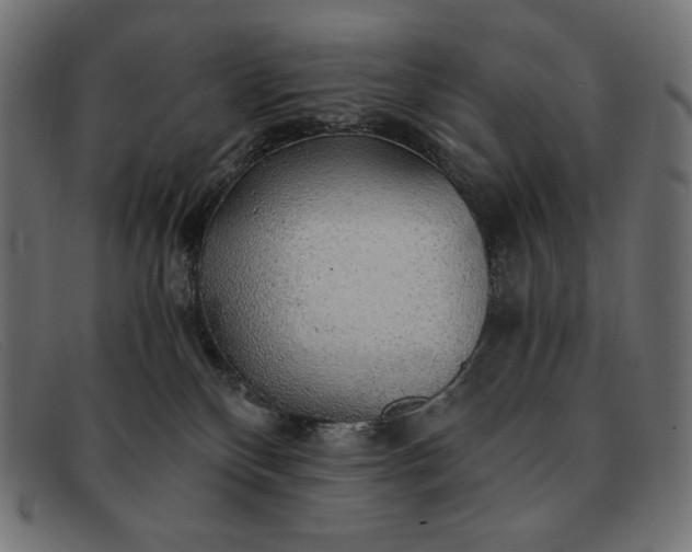 X0000091860136200709191124