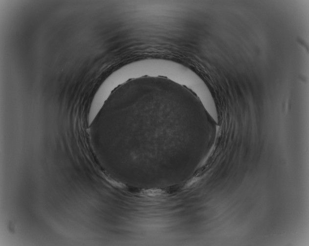 X0000091860137200709191124