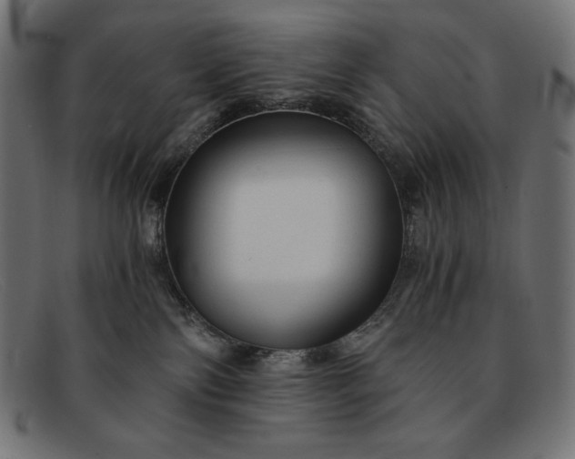 X0000091860138200709191124