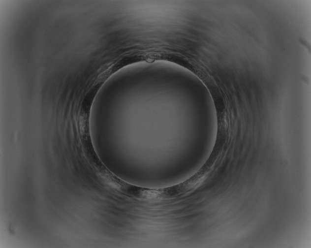 X0000091860139200709191123