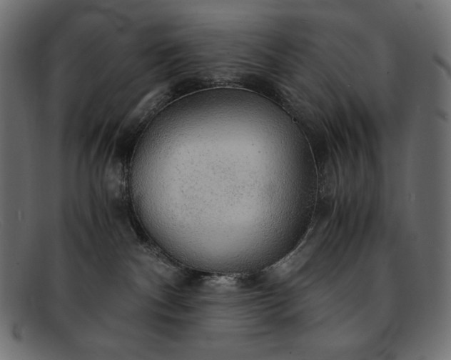 X0000091860140200709191123