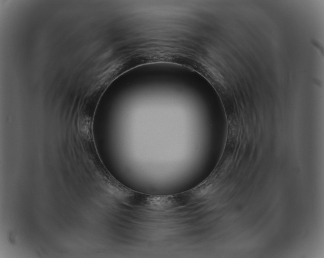 X0000091860141200709191123