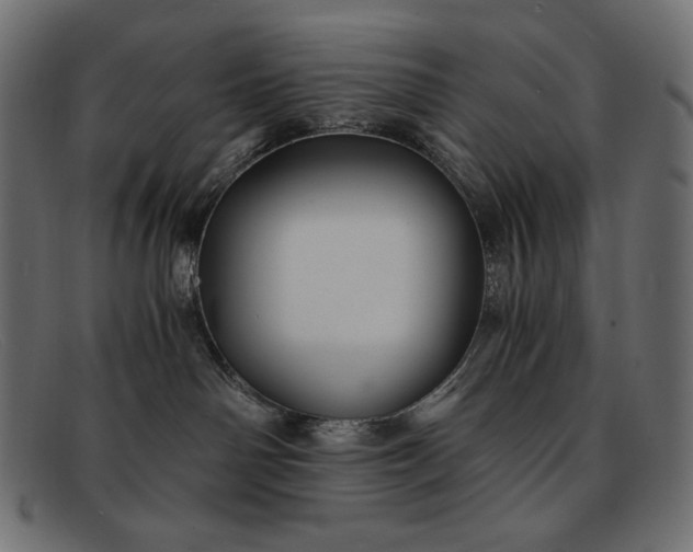 X0000091860142200709191123