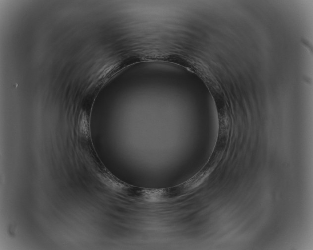 X0000091860143200709191123