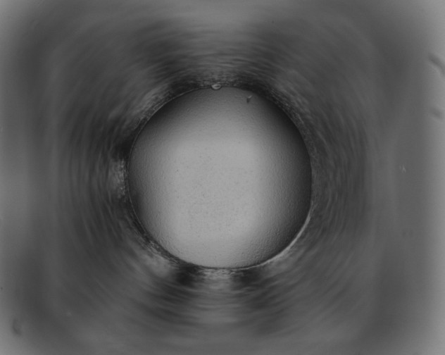 X0000091860144200709191123