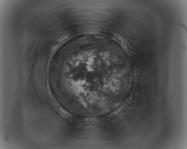 X0000091860145200709191123