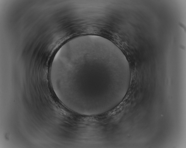 X0000091860146200709191123