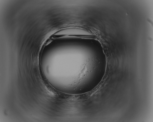 X0000091860148200709191123