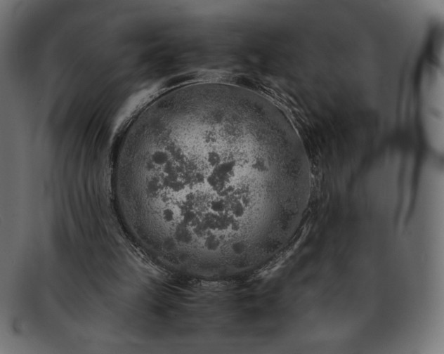 X0000091860149200709191123