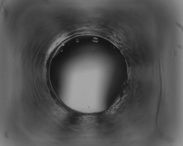 X0000091860150200709191123