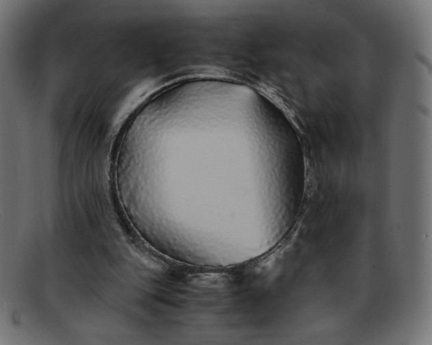 X0000091860151200709191123