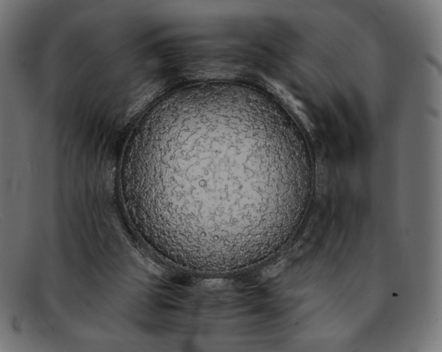 X0000091860153200709191123