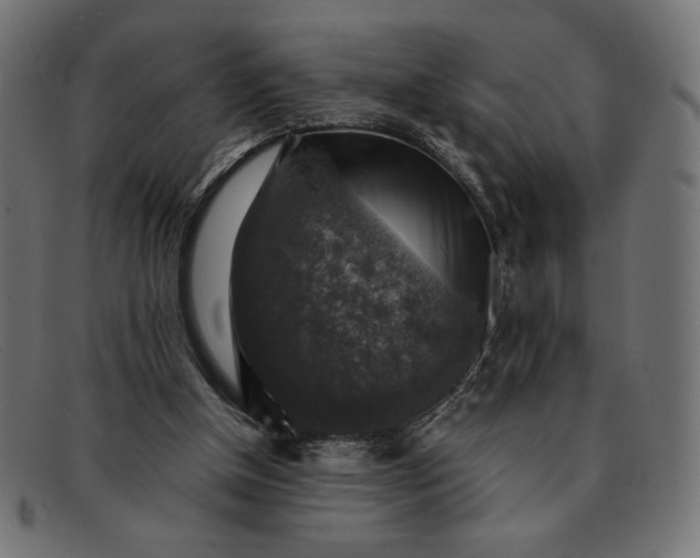 X0000091860154200709191123