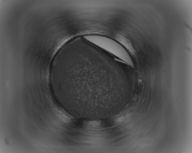 X0000091860156200709191123